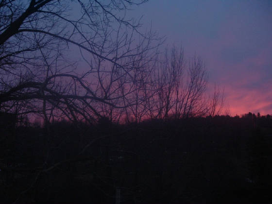 BeautifulMorning1.jpg