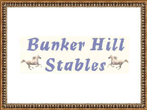 Bunkerhillstableslogowebsite4.jpg