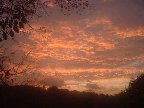 DSCF0129.JPG
